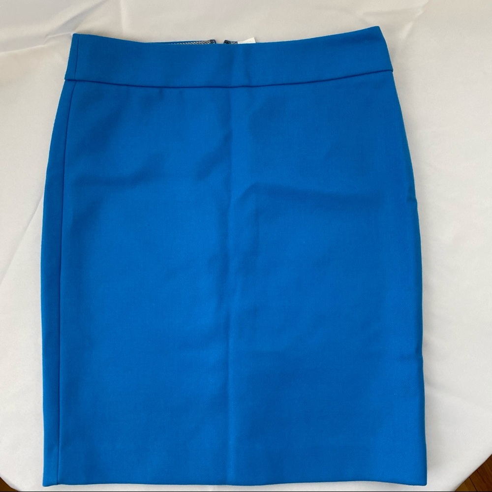 JCrew skirt